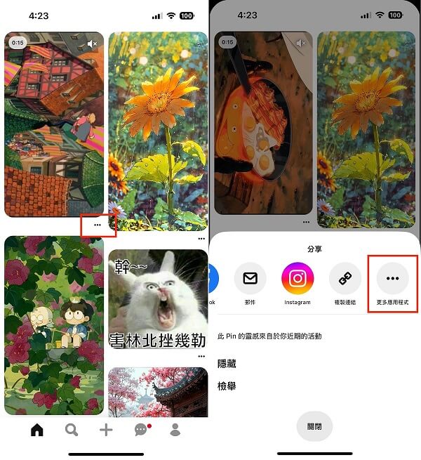 分享 Pinterest 下載影片