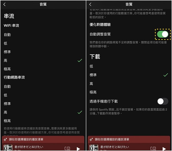 設定 Spotify 高音質
