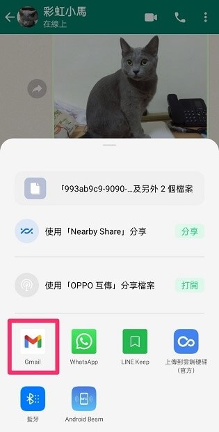 WhatsApp Android to iPhone 免費 2022