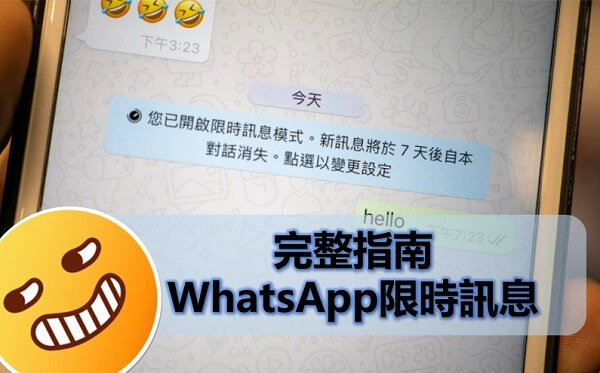 WhatsApp 限時訊息完整指南