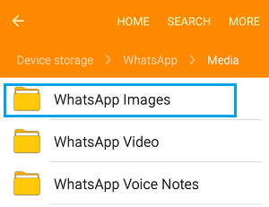 Android WhatsApp 相片儲存位置