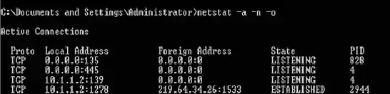 輸入 IP