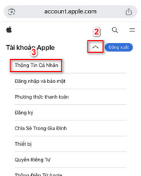 Chuyển vùng trực tuyến B
