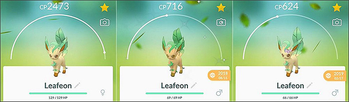 gia đình leafeon