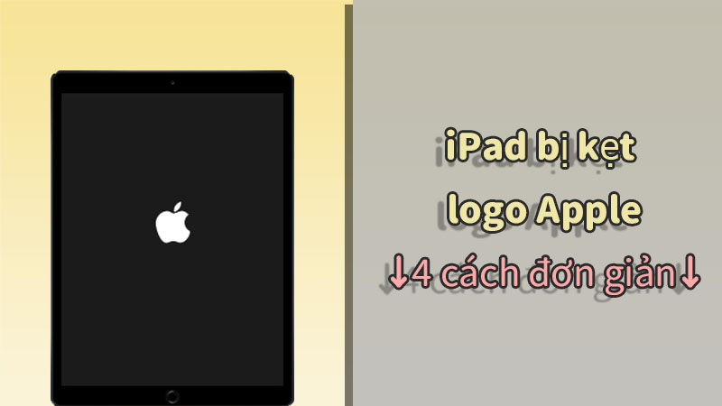 4 cách dễ dàng để sửa lỗi iPad bị kẹt ở logo Apple