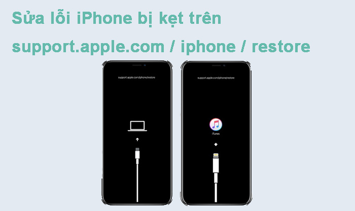 Sửa lỗi iPhone bị kẹt trên support.apple.com/iphone/restore miễn phí