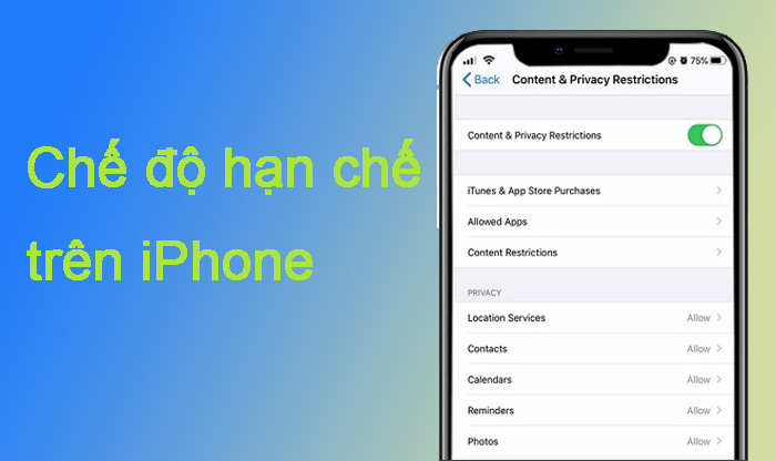 Cách Tắt/Vô hiệu hóa Chế độ hạn chế trên iPhone 16