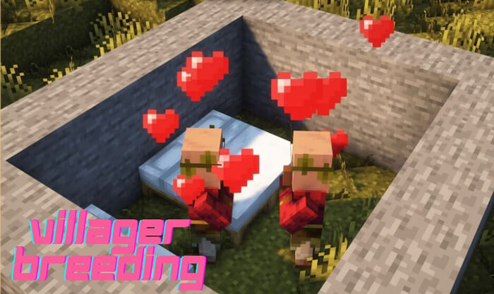 nhân giống dân làng minecraft